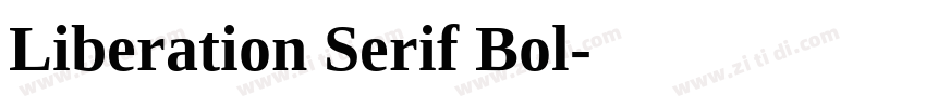 Liberation Serif Bol字体转换